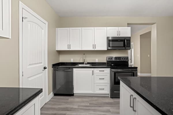 Kitchen run with a dishwasher, range and over-range microwave at 203 Colborne Street, Kingston